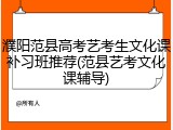 濮阳范县高考艺考生文化课补习班推荐(范县艺考文化课辅导)