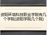 资阳环境科技职业学院有几个学院(资阳学院几个院)