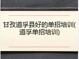 甘孜道孚县好的单招培训(道孚单招培训)