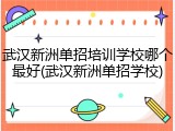 武汉新洲单招培训学校哪个最好(武汉新洲单招学校)