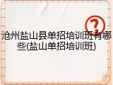 沧州盐山县单招培训班有哪些(盐山单招培训班)