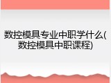 数控模具专业中职学什么(数控模具中职课程)