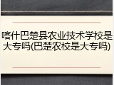 喀什巴楚县农业技术学校是大专吗(巴楚农校是大专吗)