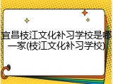 宜昌枝江文化补习学校是哪一家(枝江文化补习学校)