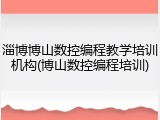 淄博博山数控编程教学培训机构(博山数控编程培训)