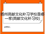 扬州高邮文化补习学校是哪一家(高邮文化补习校)
