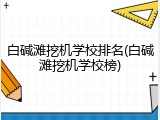 白碱滩挖机学校排名(白碱滩挖机学校榜)