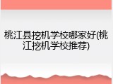 桃江县挖机学校哪家好(桃江挖机学校推荐)