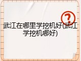 武江在哪里学挖机好(武江学挖机哪好)