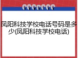 凤阳科技学校电话号码是多少(凤阳科技学校电话)