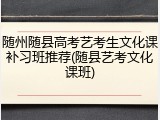 随州随县高考艺考生文化课补习班推荐(随县艺考文化课班)