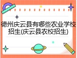 德州庆云县有哪些农业学校招生(庆云县农校招生)