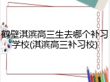 鹤壁淇滨高三生去哪个补习学校(淇滨高三补习校)
