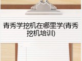 青秀学挖机在哪里学(青秀挖机培训)