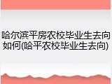 哈尔滨平房农校毕业生去向如何(哈平农校毕业生去向)