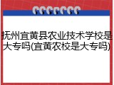 抚州宜黄县农业技术学校是大专吗(宜黄农校是大专吗)