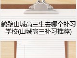 鹤壁山城高三生去哪个补习学校(山城高三补习推荐)