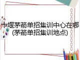 十堰茅箭单招集训中心在哪(茅箭单招集训地点)