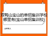 双鸭山宝山的单招集训学校哪里有(宝山单招集训校)