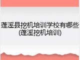 蓬溪县挖机培训学校有哪些(蓬溪挖机培训)
