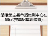楚雄武定县单招集训中心在哪(武定单招集训位置)