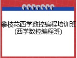 攀枝花西学数控编程培训班(西学数控编程班)