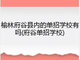 榆林府谷县内的单招学校有吗(府谷单招学校)