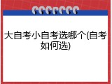 大自考小自考选哪个(自考如何选)