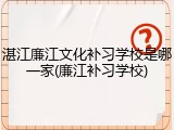 湛江廉江文化补习学校是哪一家(廉江补习学校)