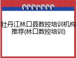 牡丹江林口县数控培训机构推荐(林口数控培训)
