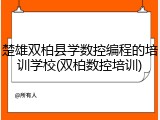楚雄双柏县学数控编程的培训学校(双柏数控培训)