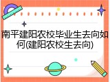 南平建阳农校毕业生去向如何(建阳农校生去向)