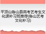 平顶山鲁山县高考艺考生文化课补习班推荐(鲁山艺考文化补习)