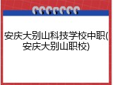 安庆大别山科技学校中职(安庆大别山职校)