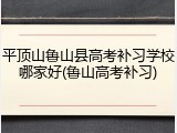平顶山鲁山县高考补习学校哪家好(鲁山高考补习)