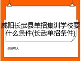 咸阳长武县单招集训学校要什么条件(长武单招条件)