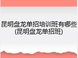昆明盘龙单招培训班有哪些(昆明盘龙单招班)