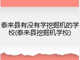 泰来县有没有学挖掘机的学校(泰来县挖掘机学校)