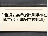百色凌云县单招集训学校在哪里(凌云单招学校地址)
