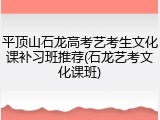 平顶山石龙高考艺考生文化课补习班推荐(石龙艺考文化课班)