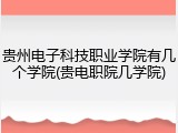 贵州电子科技职业学院有几个学院(贵电职院几学院)
