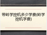 带岭学挖机多少学费(岭学挖机学费)