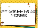 新平挖掘机技校上哪找(新平挖机技校)