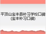 平顶山宝丰县补习学校口碑(宝丰补习口碑)