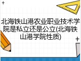 北海铁山港农业职业技术学院是私立还是公立(北海铁山港学院性质)
