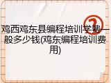 鸡西鸡东县编程培训学费一般多少钱(鸡东编程培训费用)