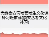 无锡崇安高考艺考生文化课补习班推荐(崇安艺考文化补习)