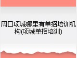 周口项城哪里有单招培训机构(项城单招培训)