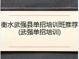 衡水武强县单招培训班推荐(武强单招培训)