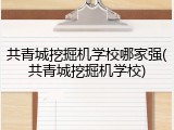 共青城挖掘机学校哪家强(共青城挖掘机学校)
